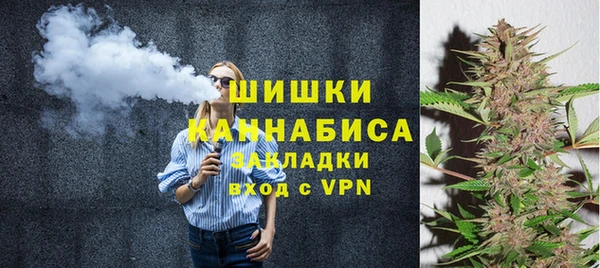 шишки Алагир