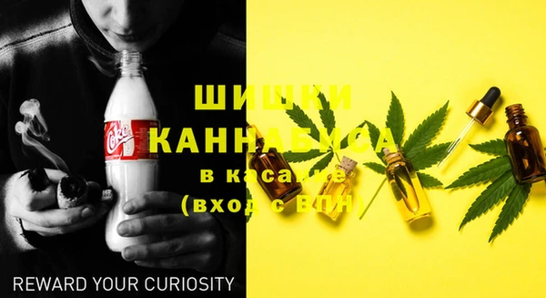 стаф Аркадак