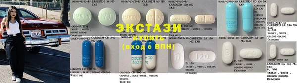 стаф Аркадак