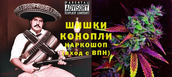 соль ск Богородск