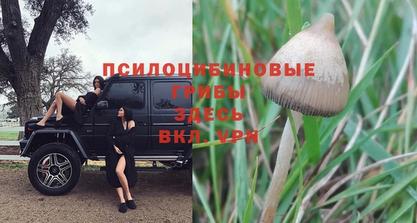 тгк Арсеньев