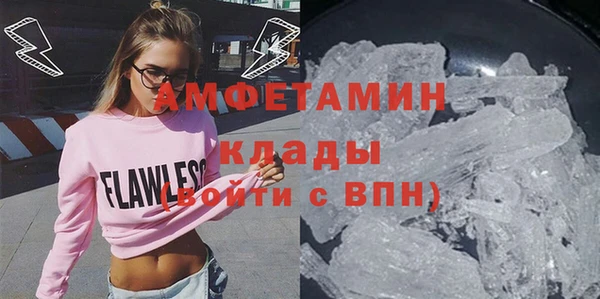 стаф Аркадак