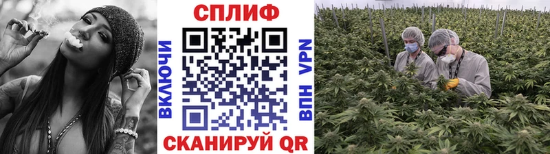 Канабис OG Kush  Козьмодемьянск 